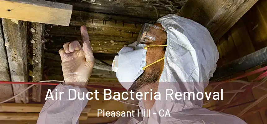  Air Duct Bacteria Removal Pleasant Hill - CA