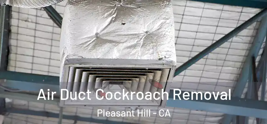 Air Duct Cockroach Removal Pleasant Hill - CA