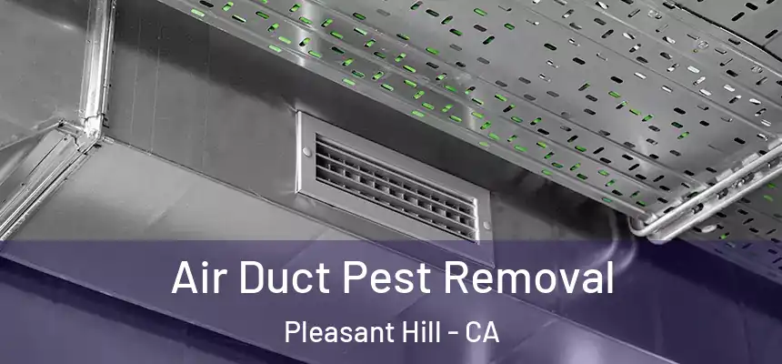 Air Duct Pest Removal Pleasant Hill - CA