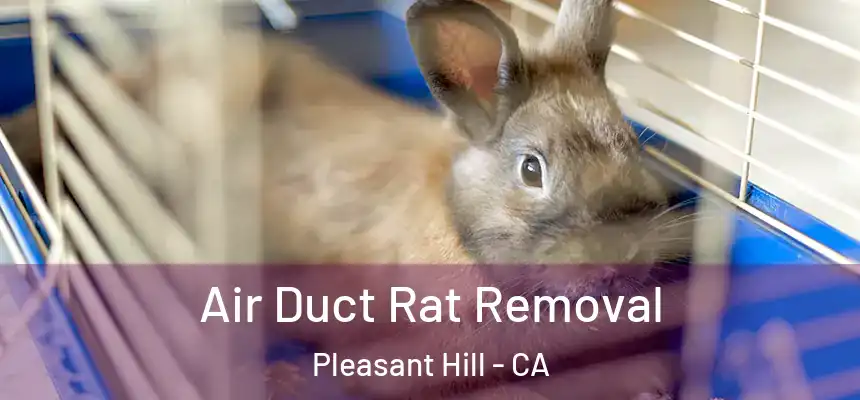  Air Duct Rat Removal Pleasant Hill - CA