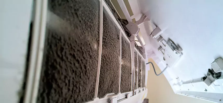 Preventive Air Duct Bacteria Removal in Pleasant Hill