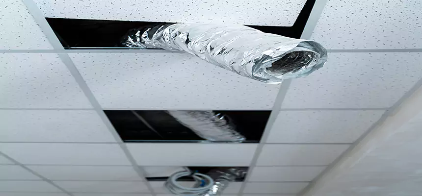 Affordable HVAC Sanitizing After Pest Removal in Pleasant Hill