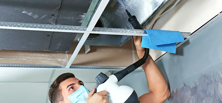 Our Air Duct Rodent Removal Services in Pleasant Hill, CA