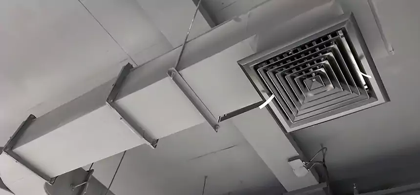 Restorative Allergy Relief Vent Cleaning – Coil, Blower & Housing Detail in Pleasant Hill