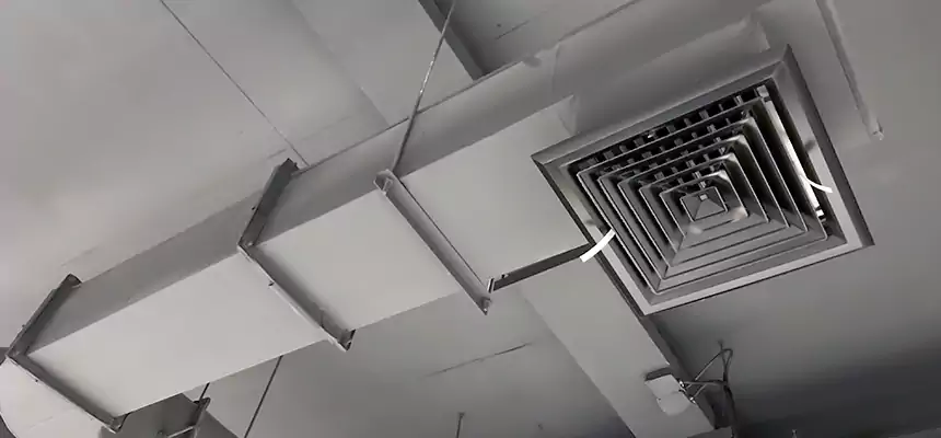 Our Pest Removal From Ducts Services in Pleasant Hill, CA