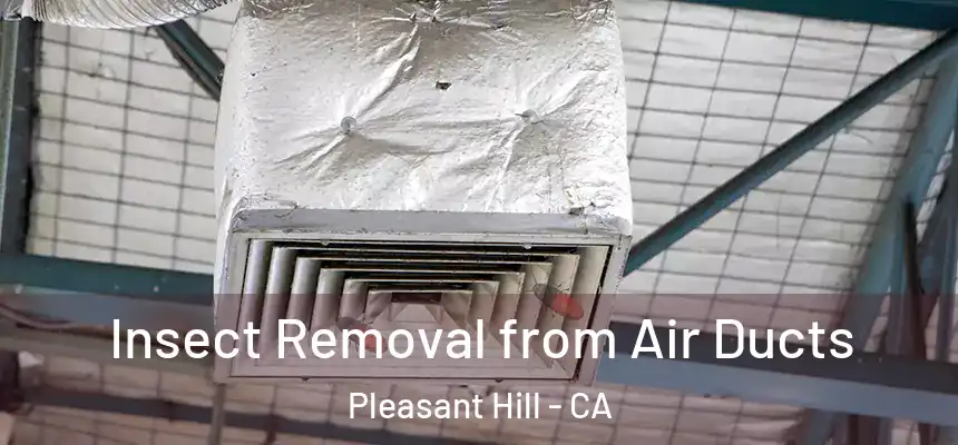 Insect Removal from Air Ducts Pleasant Hill - CA