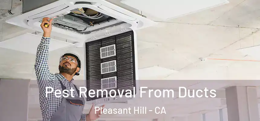  Pest Removal From Ducts Pleasant Hill - CA