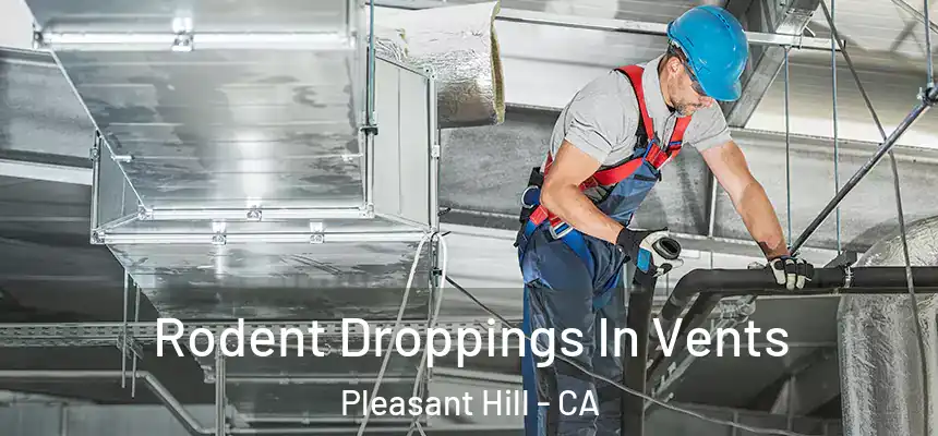 Rodent Droppings In Vents Pleasant Hill - CA