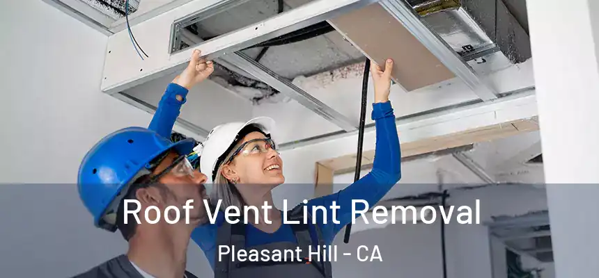  Roof Vent Lint Removal Pleasant Hill - CA
