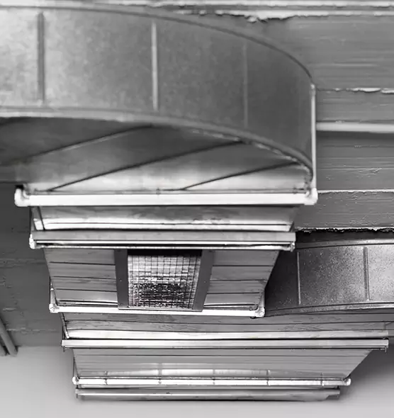 Professional Air Duct Pet Hair Removal in Pleasant Hill, CA