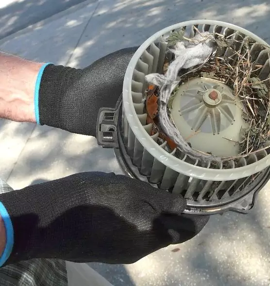 About Air Duct Rat Removal in Pleasant Hill, CA