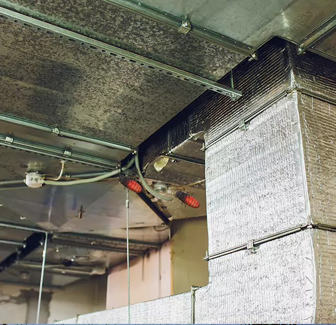 Why Homeowners & Businesses Trust Us in Pleasant Hill, CA?