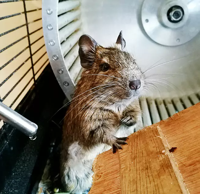 Why Homeowners & Businesses Trust Us Pleasant Hill, CA?