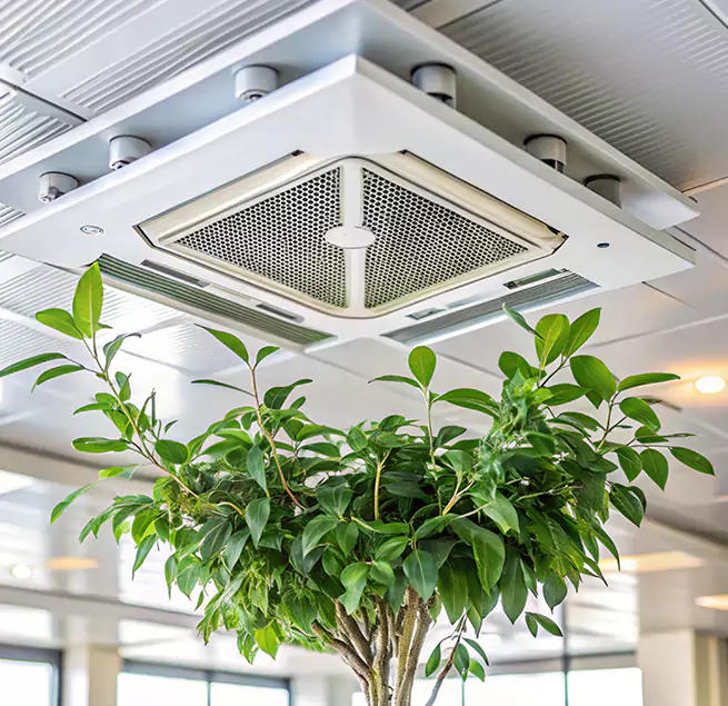 Why Homeowners & Businesses Trust Us in Pleasant Hill, CA